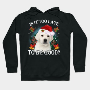 Santa Labrador Christmas Is It Too Late To Be Good Hoodie